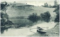 oz341945.jpg