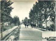 oz341946.jpg
