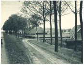 oz341947.jpg