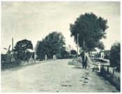 oz341948.jpg