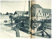 oz341949.jpg