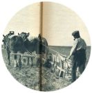 oz341950.jpg