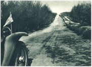 oz341956.jpg