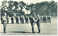 oz341957.jpg