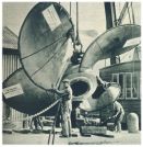 oz341962.jpg