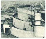oz341963.jpg
