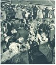 oz341966.jpg
