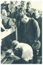 oz341970.jpg
