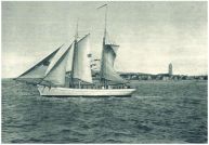 oz342039.jpg