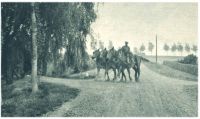 oz342062.jpg