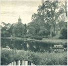 oz342080.jpg