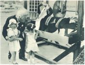 oz342102.jpg