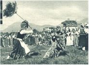 oz342120.jpg