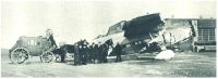 oz342127.jpg