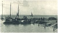 oz342132.jpg