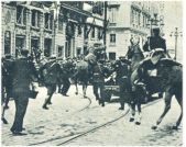 oz342170.jpg
