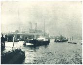 oz342229.jpg