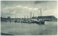 oz342248.jpg