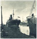 oz342264.jpg