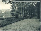 oz342265.jpg