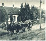 oz342266.jpg