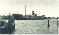 oz342269.jpg