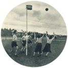 oz342274.jpg