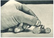 oz342302.jpg