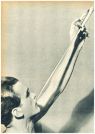 oz342315.jpg
