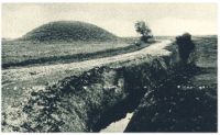 oz342366.jpg