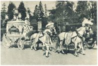 oz342379.jpg