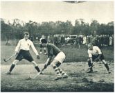 oz342387.jpg