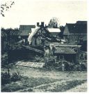 oz342392.jpg