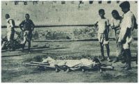oz342423.jpg