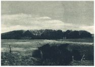 oz342449.jpg