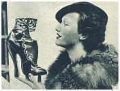 oz342454.jpg