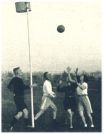 oz342472.jpg