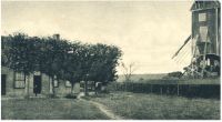 oz342523.jpg