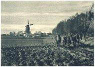 oz342525.jpg