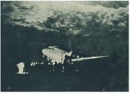 oz342542.jpg