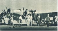 oz342544.jpg