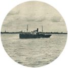 oz342555.jpg