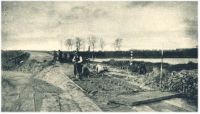 oz342562.jpg