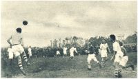 oz342573.jpg