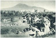 oz342726.jpg