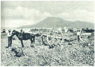 oz342730.jpg