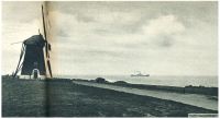 oz342747.jpg