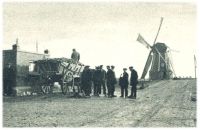 oz342769.jpg