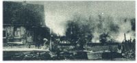 oz342784.jpg