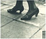 oz342787.jpg